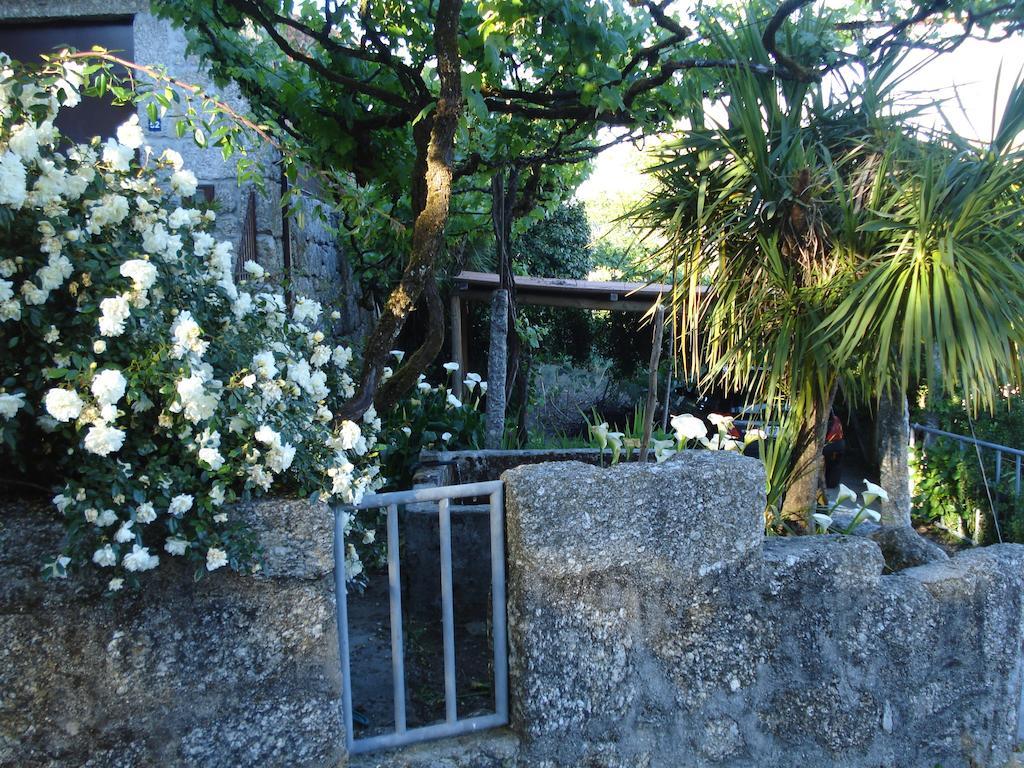 Casa Do Faroca Villa Vieira do Minho Dış mekan fotoğraf